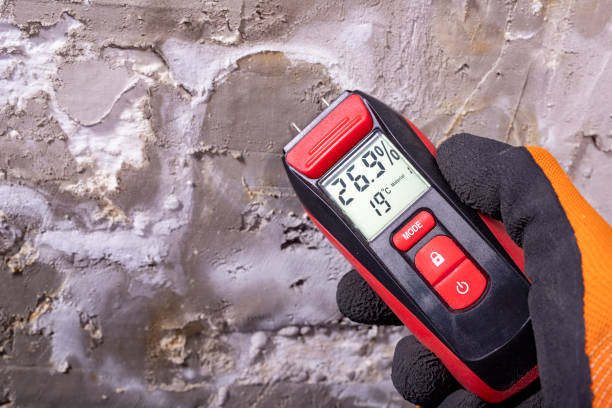 Best Water Damage Restoration  in Mono Vista, CA