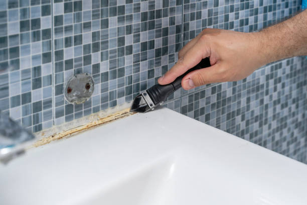 Best Emergency Mold Removal  in Mono Vista, CA